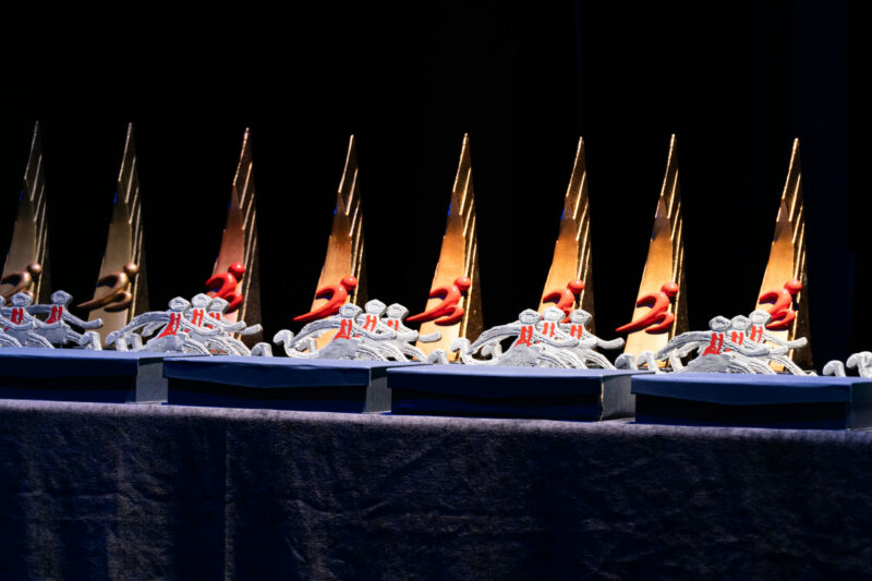 Nit de l'Esport Vallenc