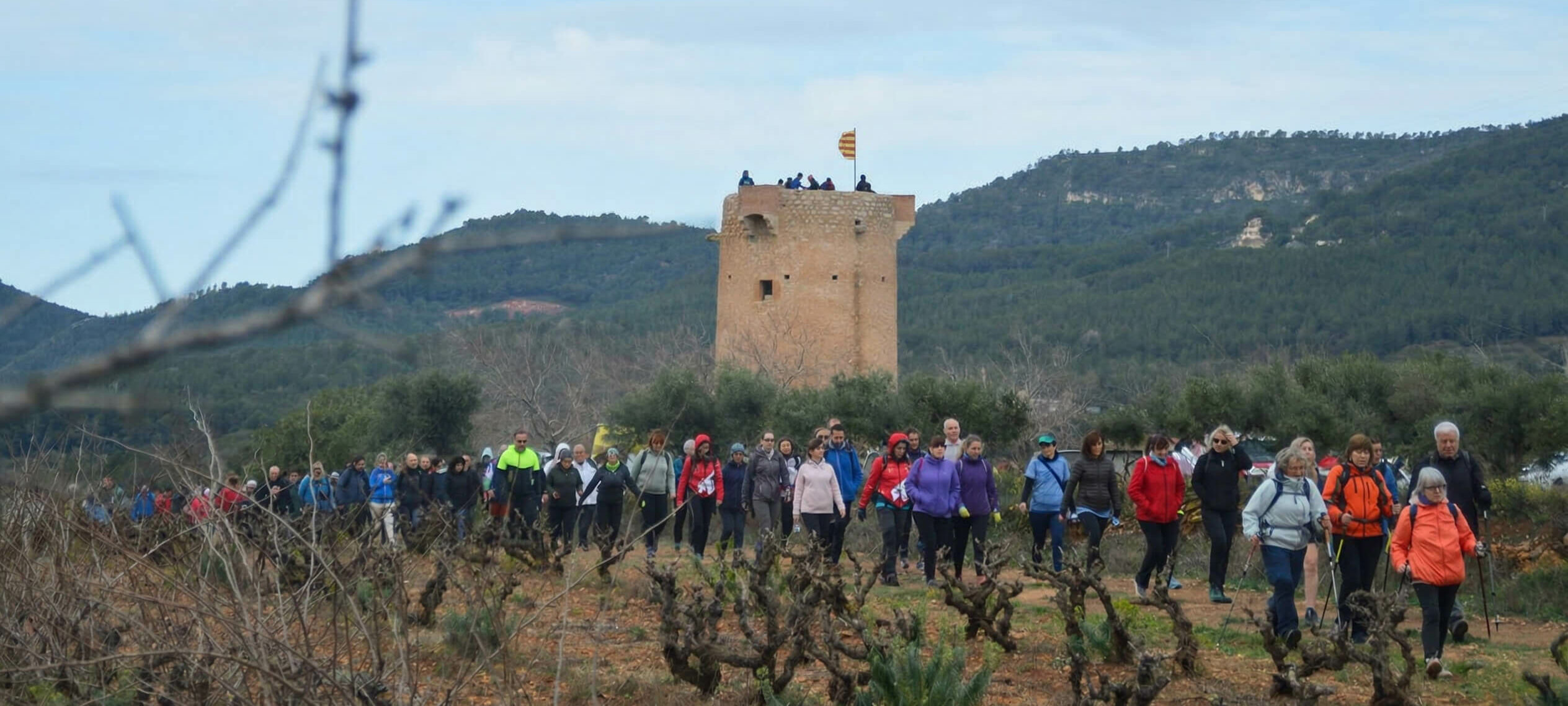 Caminada Mixarda (HD)