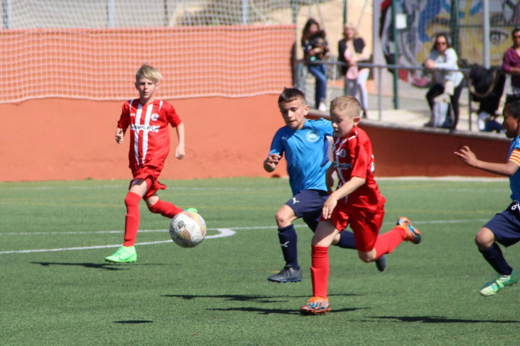 Subvencions nominatives a entitats del PME